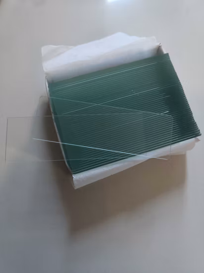 Mikroskop-Histologie und Embryonenpräparierte Objektträger 7101 Mikroskop-Objektträger Präparierte Objektträger